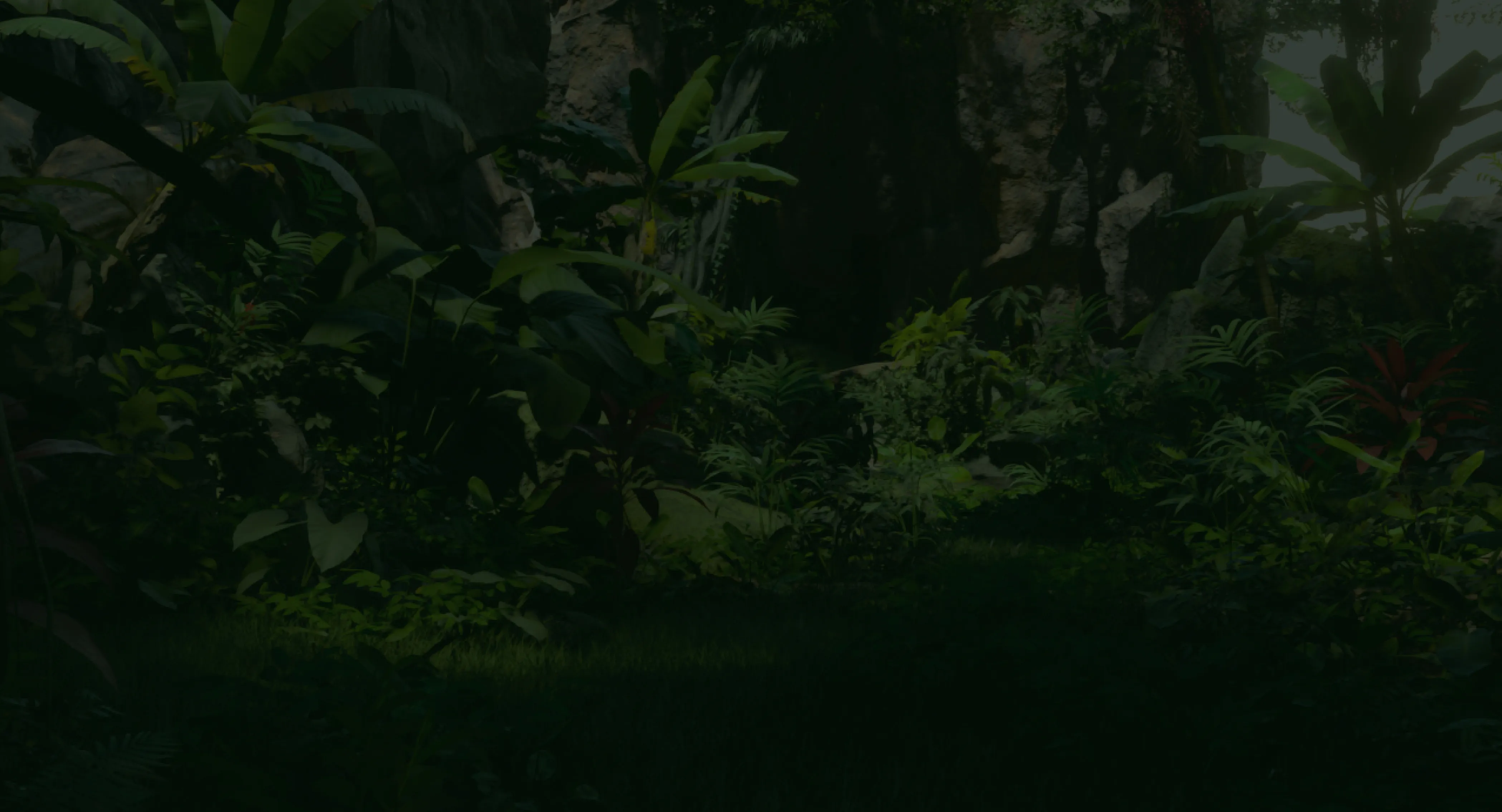 A dimmed image of a rendered jungle